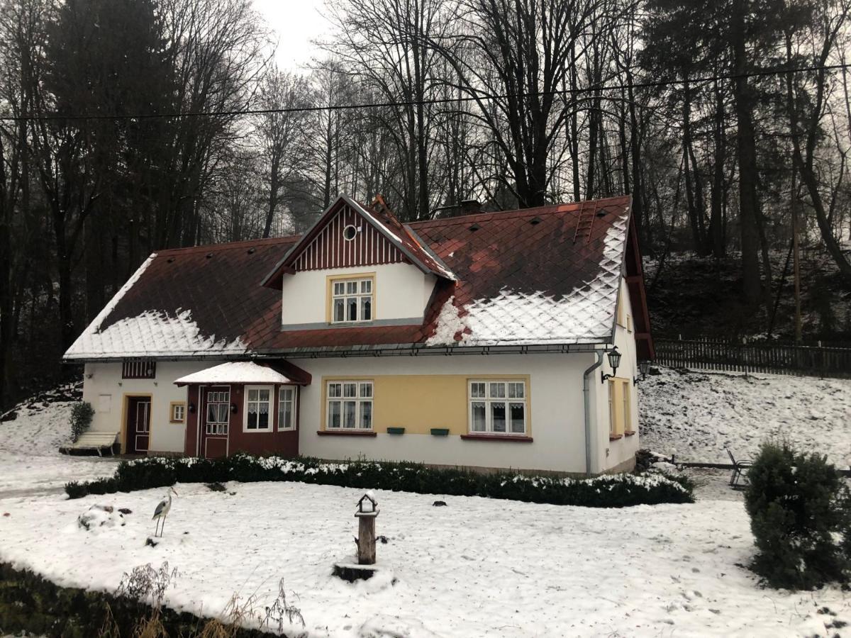 Adelle Cottage In Krkonose National Park Рудник Экстерьер фото